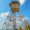 דומם - -582