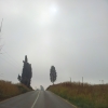 טבע ונוף	 - -642